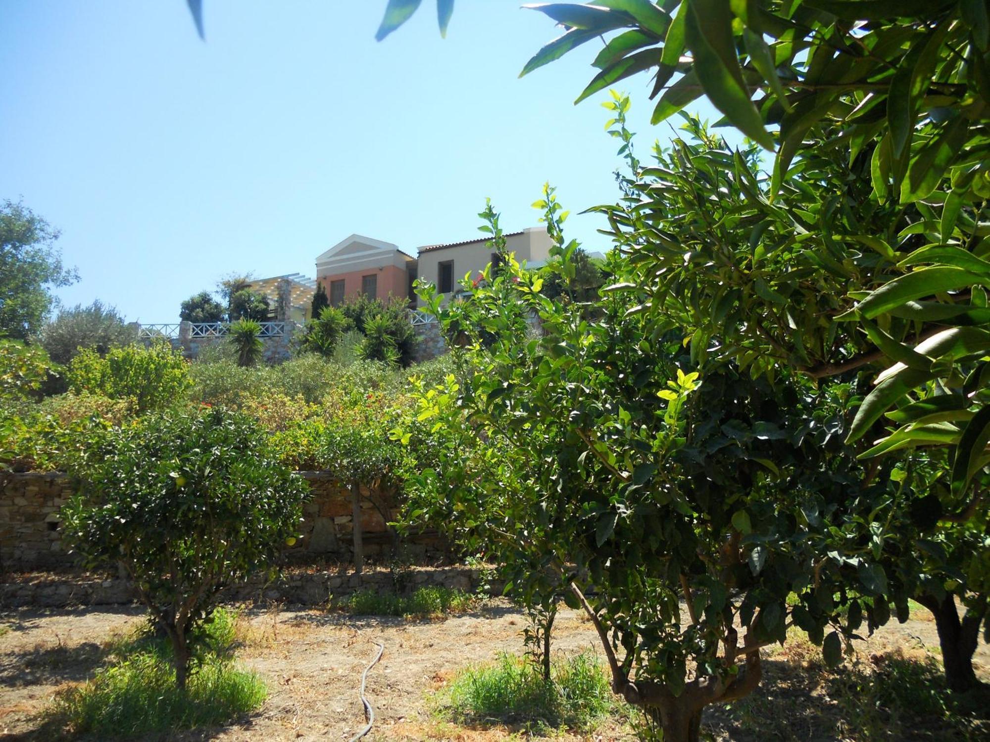 Charming House With Sea View In Chrousa, Fenced Garden * Chrousa