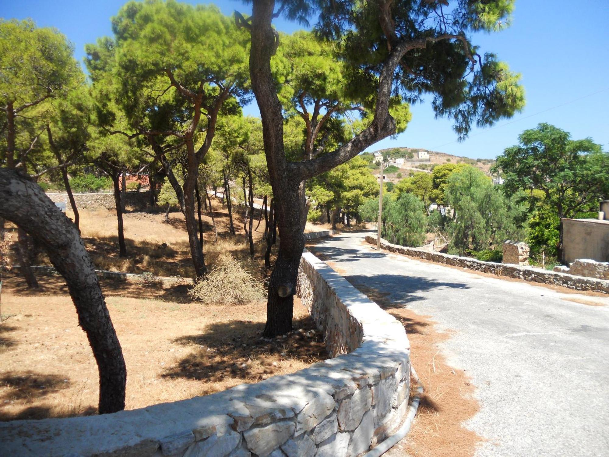 Charming House With Sea View In Chrousa, Fenced Garden