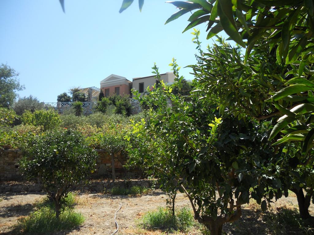 Holiday home Charming House With Sea View In Chrousa, Fenced Garden