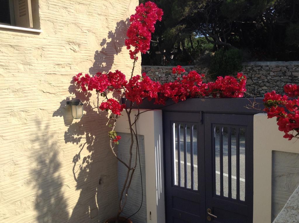 Charming House With Sea View In Chrousa, Fenced Garden *